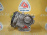 Заслонка дроссельная Ford Focus 2 CAP/CB4 AODA/AODB/C307/QQDA/QQDB 1.8L 2.0L электр. (дефект) VP4M5U9E927DC 4M5G9F991FA, 1537636
