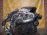Двигатель BMW 3-Series N54B30A-02226790 2WD В  сборе E90 '2008