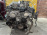 Двигатель NISSAN/Infiniti VQ35-DE-231526A Elgrand/Pathfinder E50