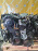 Двигатель Mazda KF-ZE-352575 КОСА,КОМПЬЮТЕР KFC6-18881A Millenia/Cronos/Lantis