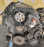 Двигатель Honda J25A-5001866 Inspire UA4