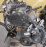 Двигатель Toyota 4S-FE-1268098 2WD ТРАМБЛЕР   БЕЗ НАВЕСНОГО Carina ST190