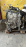 Двигатель Mazda LFVE-10339936 шуп в головке БЕЗ КОНДЕРА Axela/Mazda3