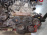 Двигатель SsangYong Actyon D20DT/664.951-12559047 2.0 CRDI Euro 3 AT CJ/C100 '2005-2007