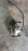 Суппорт TOYOTA EL43/EL54/EL44/EXZ10/EXZ15/EP82/EP91 Corolla II/Corsa/Cynos/Raum/Starlet/Tercel перед, прав 51-18 254x18 мм. 18V-A 47730-10111