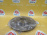 Диск тормозной 517120U000, ND6031K F Hyundai Solaris RB/HC/UB/QB '2010- 256X22 4-100