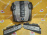 Накладка декоративная на двс BMW N62N/N62B48B 7-Series E60/E63/E65/E70 '2007 комплект 11127548849 11127548850 11617535151