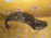 Подкрылок TOYOTA Raum EXZ10 перед, прав Дефект 53875-46010
