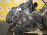 Двигатель BMW 5-Series M54B30/306S3-35133226 530i NA72 E60 '2004