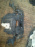 Защита двигателя Honda RM4 CR-V 74111-T0A-00  74112-T0A-A00