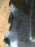 Подкрылок TOYOTA Estima ACR30 R 53875-28120/130