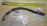 Шланг топливный Toyota 90923-01421 Mark II GX105 1G-FE BEAMS соединение топливопровода между двс и кузовом