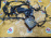 Коса ДВС Toyota 4S-FE Camry SV40 m/t кат. + комп.89661-32881