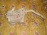Бачок омывателя Mitsubishi KB9T L200 '2006-2010 (с горловиной)