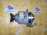 Муфта включения полного привода Nissan 38761CA000 Murano PNZ50 VQ35 R