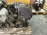 Двигатель Toyota 1NT-0012424 Corsa/Tercel