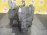 АКПП Ford Focus 1 Split Port/YS4E 2.0L 4F27E 1S4P-CA (без датчика селектора) 1S4Z7000CA CAK '2002