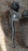 Подкрылок SUBARU Legacy BHE перед, лев Дефект 59110-AE030