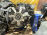 Двигатель Mitsubishi 4G64-MB3456 4WD 8 VALVE  В СБОРЕ Delica P24W