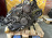Двигатель SUBARU EJ251-B942956 С ЕГР '2004-