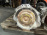 АКПП Nissan/Infiniti VQ37 RE7R01A / 31020-3RX4A/-X184E/-X211B 4WD 7 ступ. Skyline#G37 V36 '11.2009-