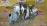 Турбина Toyota/Lexus V35AFTS Land Cruiser VJA300 + эл. мотор 896A6-60010 17208-70070