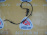 Датчик ABS Nissan Sunny/Bluebird Sylphy B15/G10 зад, прав 2WD .Резаный. 2000г.