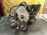 Двигатель Honda D16A-8006176 4WD БЕЗ  ТРАМБЛЕРА Partner EY8