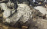 АКПП Nissan QR25 RE0F10A  31020-1XF8C 1XT6C 4WD CVT ПАРОБЕГ 37т.км JAPAN Teana/Murano TNJ32/TNZ51