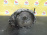 АКПП Daewoo Leganza L84/T18SED 4HP14 VE без ГТР 96233428 V100 '1997-2002