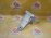 Кронштейн опоры двигателя Mercedes M271KE18ML/271.950 C-Class W204 L A2712231904