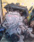 Двигатель Nissan MR20DD-159131B 2WD с ЕГР   БЕЗ ГЕНЕРАТОРА И КОНДЕРА Serena FNC26-003890
