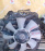 Двигатель Mazda RF-TE-10280477 Common Rail Bongo SKF6V-201738