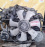 Двигатель Mazda/Nissan F8-433048 БЕЗ ГЕНЕРАТОРА  С ЕГР Bongo#Vanette SK82V-324948
