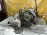 АКПП Nissan QR20 RE4F04B 4WD ПРОБЕГ 35 Т КМ X-Trail/Primera T30/P12