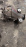 Редуктор Toyota GRS180 Crown 4GR-FSE a/t 41/10