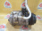 Компрессор кондиционера BMW E53/LM/L322 M54B30/M57/M57D30/M62B44 X5 '-10.2002 10S17C 64528377067