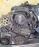 Двигатель Honda F23A-3003696 В СБОРЕ   ПРОБЕГ 59т.км Avancier TA1-1003165