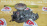 Помпа Toyota 1KD/2KD Hiace KDH201 16100-39425