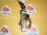 Замок зажигания SUBARU BL5/BP5/BPE Legacy (6 контактов)