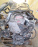 Двигатель Toyota 1NZ-FE-B733552 МЕХ ДРОСЕЛЬ ПРОБЕГ 45т.км. В СБОРЕ Funcargo NCP12 '2001-