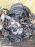 Двигатель Honda D16A-9007990 НЕ VTEC БЕЗ  ТРАМБЛЕРА ПРОБЕГ 115 Т КМ HR-V GH3-1004035