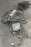 Коса ДВС Toyota 5E-FE Raum EXZ10 2WD a/t A244L без привода спид. кат. + комп. 89661-46010 82121-46020