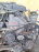Двигатель Toyota 1SZ-FE-0337858 без генератора Vitz/Platz SCP10 '2001-