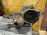 МКПП Mitsubishi 4G63 W5M421Z4B2 4WD MN132039 Outlander CU