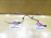 Провод датчика ABS Toyota Vitz NCP10/SCP10/NCP12/SCP11 R 89516-52010