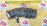 Гофра впускного коллектора Nissan SR16-VE/SR20-VE AD/Wingroad WPY11/B15 резиновая ( V ) 165786M000