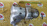 Коллектор выпускной Nissan CR12 March AK12 + катализатор 14004AX000 + 208A0CT00A