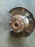 Ступица Honda RF3/RF4/RF5 Stepwgn перед, лев ABS голая