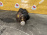 Коленвал Toyota 7KE Lite Ace Noah KR42 ПОД РАСТОЧКУ 13411-06900